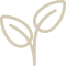 Nouveau projet (1)